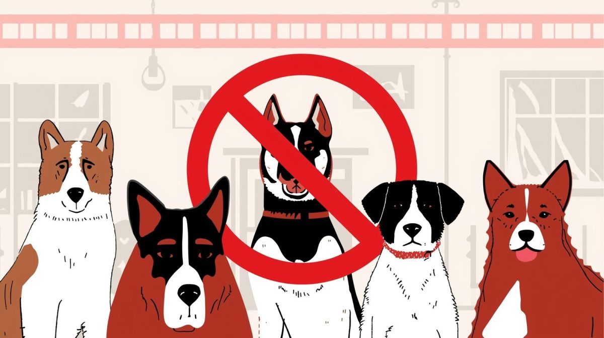 Aggressive Dog Breeds Not Allowed in Apartments